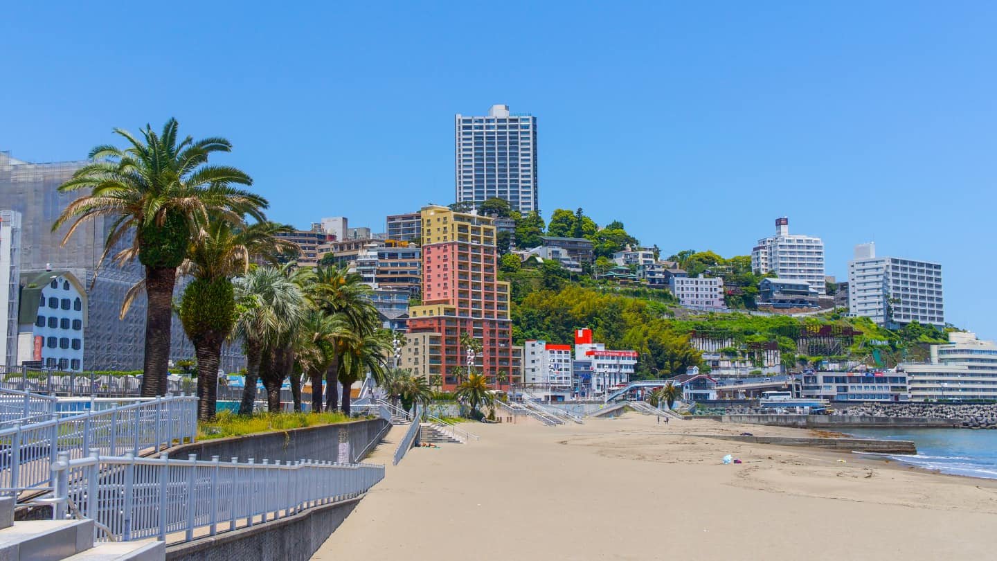 🌲 오미야 소나무(오미야노마츠) 이미지 5